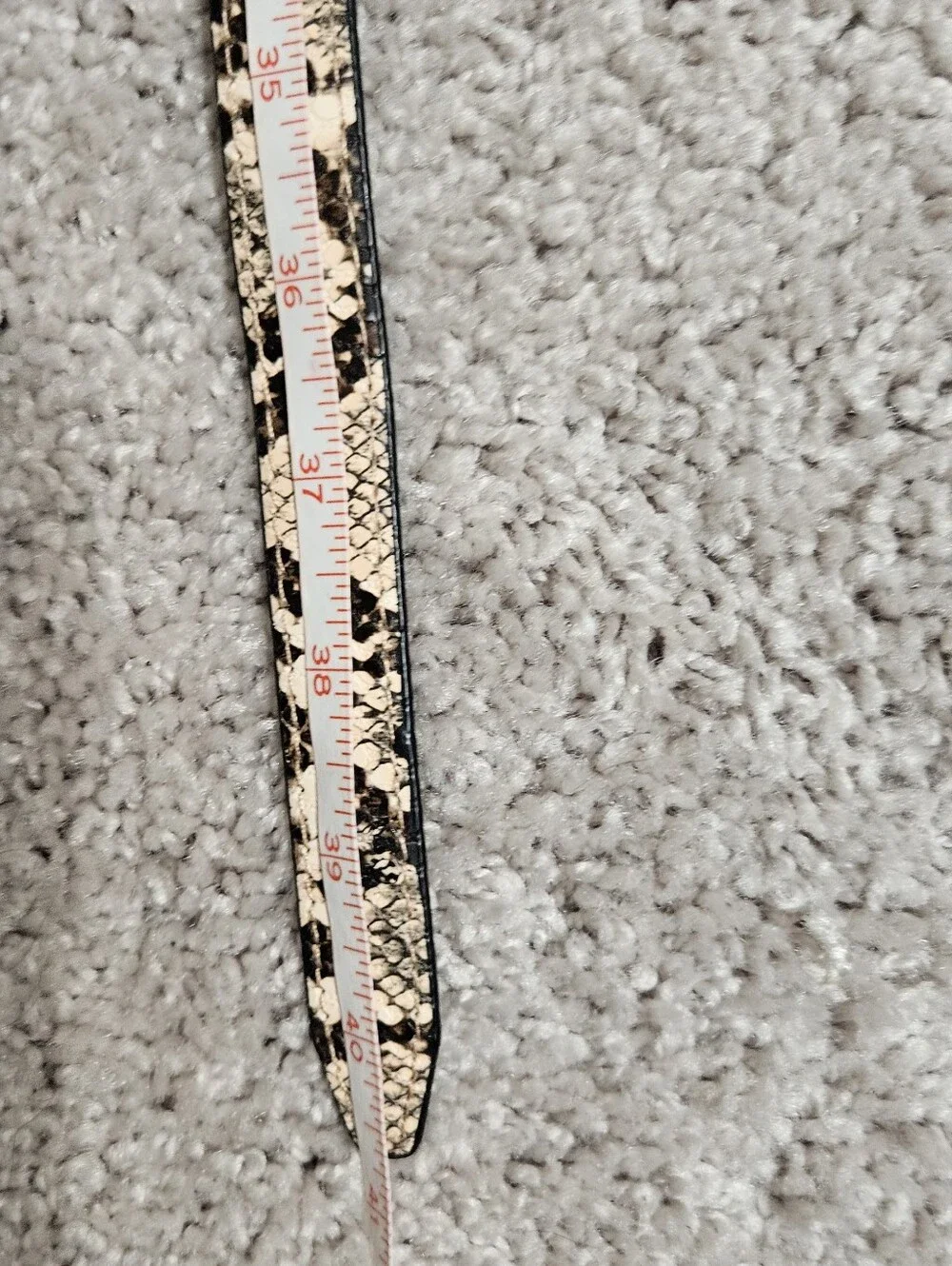 Steve Madden Beige and Black Snake-Print Belt with Gold Buckle
